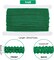 Braid Tirm for Sewing, 27 Yards 1/4 inch(8mm) Green Gimp Braid Trim Ribbon Polyester Basic Fringe Trim for Upholstery Costume DIY Crafts Jewelry Making Curtain Costume Christmas Decor